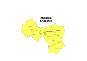 Download Bihar All District & Blocks Shapefile (2025) - Map GIS